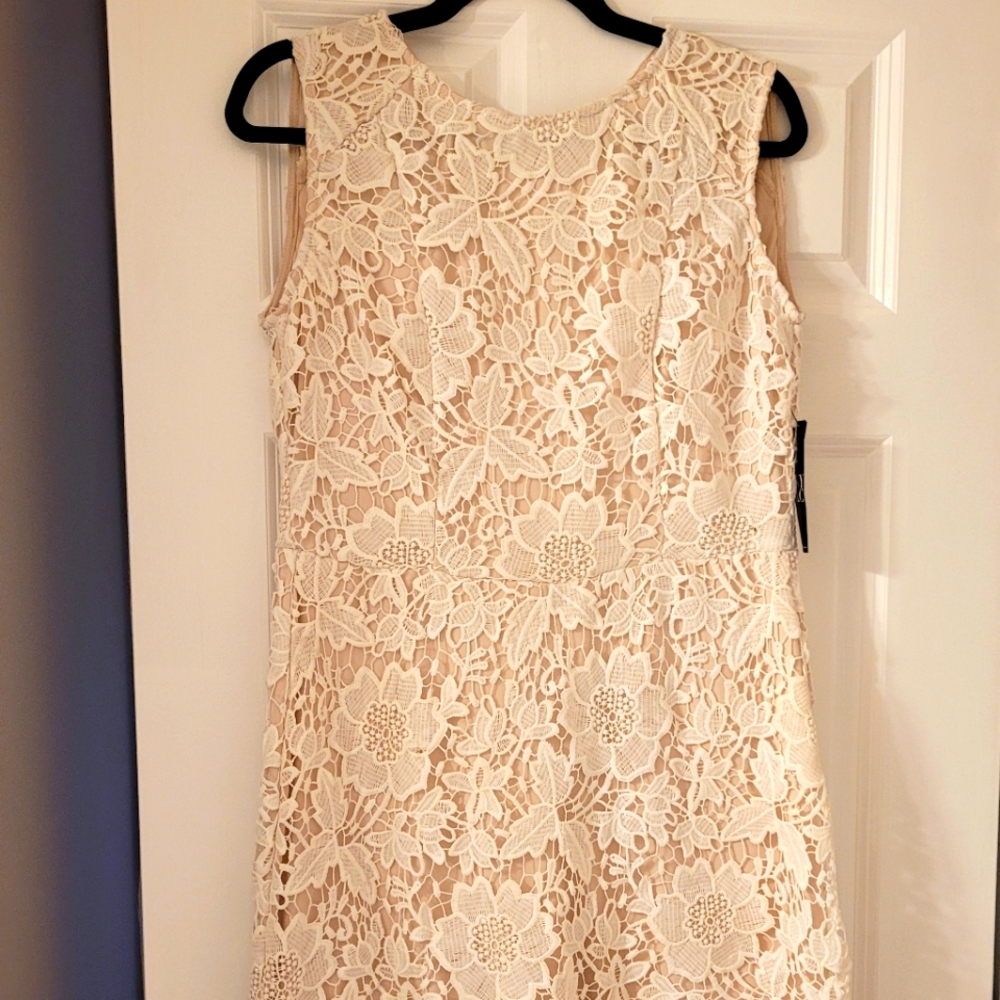 Wedding Season!!!  Gorgeous cream lace overlay dress